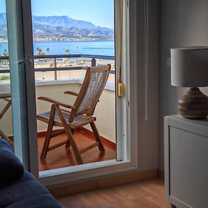 Evo Beachfront Windows